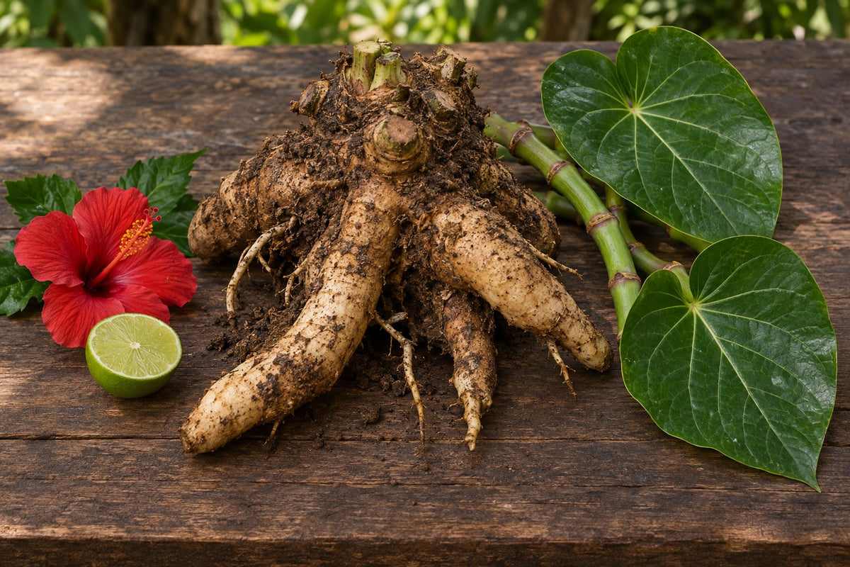 Freshly harvested kava root crown with kava leaves, hibiscus and lime on a wooden table